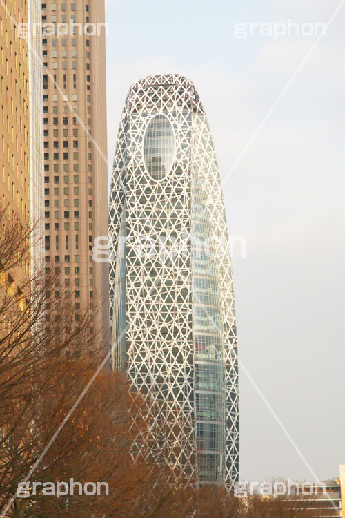 新宿ビル群,新宿,新宿区,ビル,都会,ビル群,高層ビル,ビジネス,shinjuku,building,office