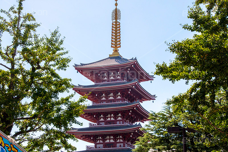浅草寺,浅草,雷門,あさくさ,台東区,寺,お寺,参拝,お参り,東京都内最古,都内最古,asakusa,japan,スポット,寺院,五重塔,塔