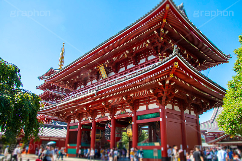 浅草寺,浅草,雷門,あさくさ,台東区,寺,お寺,参拝,お参り,東京都内最古,都内最古,ご本尊聖観世音菩薩,御宮殿,ごくうでん,不動明王,本堂,asakusa,japan,スポット,寺院,青空
