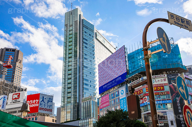 渋谷スクランブル交差点,渋谷,しぶや,ハチ公,観光,交差点,渋谷駅,駅前,スクランブル,外国人,海外,道玄坂,shibuya,japan,hotel,office,横断歩道,信号,セルリアン,タワー,セルリアンタワー,ホテル,オフィスビル,高層ビル,フルサイズ撮影