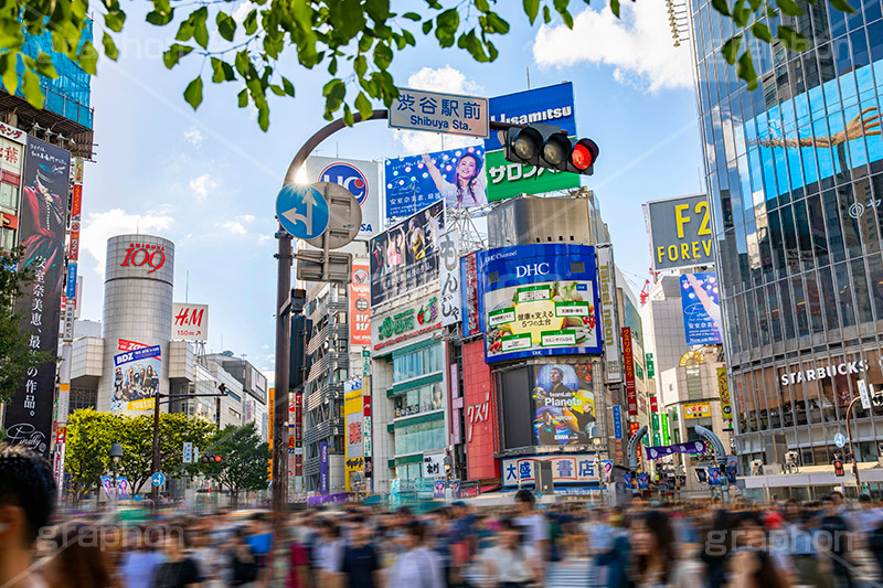 渋谷スクランブル交差点,渋谷,しぶや,ハチ公,観光,交差点,渋谷駅,駅前,スクランブル,外国人,海外,道玄坂,横断歩道,信号,雑踏,都会の雑踏,人混み,人物,混雑,shibuya,japan,フルサイズ撮影