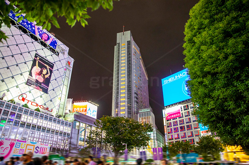 渋谷駅前,交番,スクランブル交差点,渋谷,しぶや,ハチ公,観光,交差点,渋谷駅,駅前,スクランブル,道玄坂,横断歩道,信号,雑踏,都会の雑踏,セルリアンタワー,ホテル,夜,夜景,繫華街,夜の街,夜の町,shibuya,japan,hotel,office,フルサイズ撮影