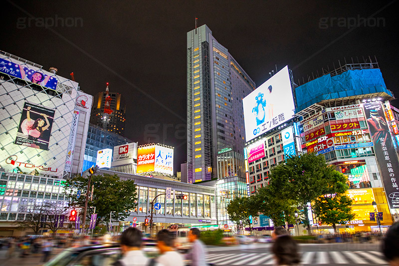 渋谷スクランブル交差点,渋谷,しぶや,ハチ公,観光,交差点,渋谷駅,駅前,スクランブル,外国人,海外,道玄坂,横断歩道,信号,雑踏,都会の雑踏,セルリアン,タワー,セルリアンタワー,ホテル,オフィスビル,高層ビル,夜,夜景,繫華街,夜の街,夜の町,shibuya,japan,hotel,office,フルサイズ撮影