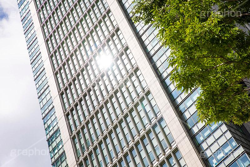 太陽が反射するビル,太陽,反射,逆光,ビル,ビジネス街,オフィスビル,building,office,sun,フルサイズ撮影
