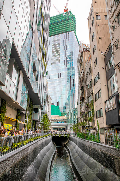 渋谷川,川,渋谷ストリーム,新名所,都市再生,渋谷,しぶや,シブヤ,オフィスビル,商業施設,高層ビル,建設,開発,工事,都市開発,shibuya,building,2018,フルサイズ撮影