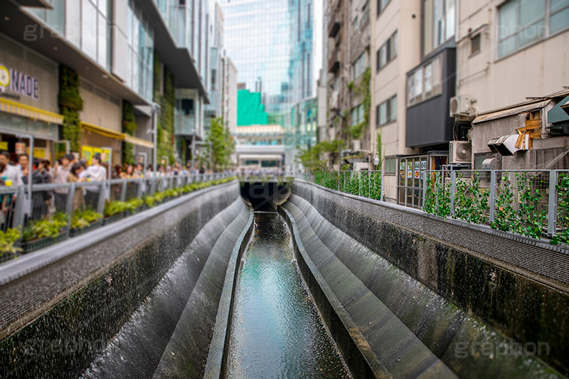 渋谷川,川,渋谷ストリーム,新名所,都市再生,渋谷,しぶや,シブヤ,オフィスビル,商業施設,高層ビル,建設,開発,工事,都市開発,shibuya,building,2018,フルサイズ撮影