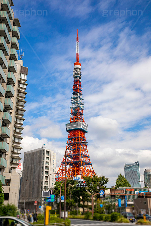 東京タワー真下,真下,見上げ,見上げる,鉄骨,鉄網,金網,真っ赤,とうきょうタワー,Tokyo Tower,港区,下から,迫力,圧巻,工事中,フルサイズ撮影,東京タワー