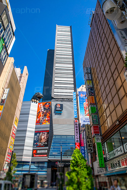 歌舞伎町,西新宿,繁華街,ゴジラロード,映画,映画館,西武新宿駅前,西武新宿,新宿,新宿区,商店街,ホテル,繫華街,夜の街,夜の町,shinjuku,hotels,japan,フルサイズ撮影