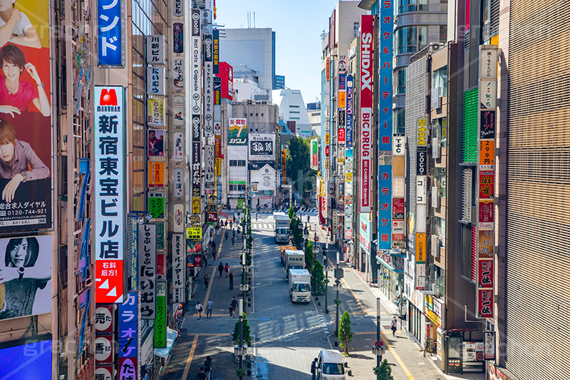 歌舞伎町,西新宿,繁華街,ゴジラロード,映画,映画館,西武新宿駅前,西武新宿,新宿,新宿区,商店街,ホテル,繫華街,夜の街,夜の町,shinjuku,hotels,japan,フルサイズ撮影