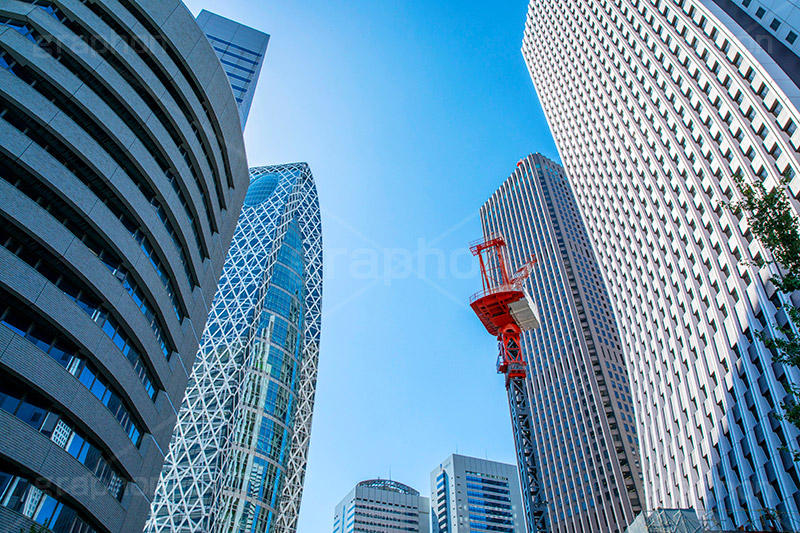 新宿西口ビル群,西口,新宿,新宿区,ビル,都会,ビル群,高層ビル,ビジネス,都庁前,オフィス街,オフィス,office,shinjuku,building,西新宿,フルサイズ撮影