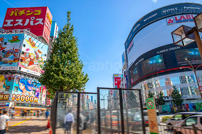 西武新宿駅前,西武新宿,駅,駅前,高架,高架下,ガード下,線路,鉄道,交差点,駅ビル,新宿,新宿区,JR,SS01,歌舞伎町,shinjuku,西新宿,繫華街,夜の街,夜の町,フルサイズ撮影