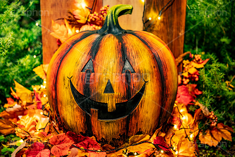 怪しく光るジャックオーランタン,光るジャックオーランタン,ジャックオーランタン,ハロウィン,はろうぃん,ハロウィーン,かぼちゃ,カボチャ,南瓜,ランタン,イベント,秋,パンプキン,行事,オーナメント,装飾,怪しい,光る,Halloween,pumpkin,ornament,フルサイズ撮影