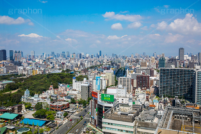 あべのハルカスからの眺め,眺め,街,町,あべのハルカス,商業施設,ショッピング,ホテル,美術館,展望台,近鉄,大阪市,阿倍野区,超高層ビル,日本一,日本初,スーパートール,観光地,300m,building,japan,osaka,フルサイズ撮影,大阪