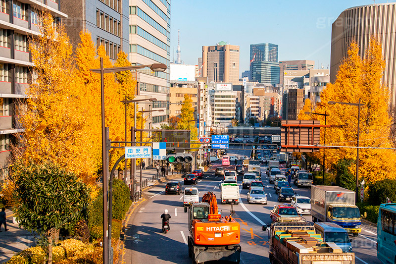 秋の九段下,千代田区,九段下,武道館,秋,紅葉,autumn,イチョウ,いちょう,銀杏,並木,黄色
