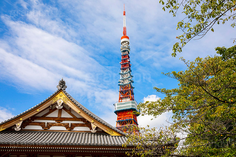 増上寺,寺,境内,行事,参拝,お参り,寺,芝公園,港区,東京タワー,タワー,塔,青空,japan,temple,フルサイズ撮影