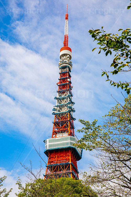 東京タワー,鉄骨,鉄網,金網,真っ赤,とうきょうタワー,Tokyo Tower,港区,工事中,フルサイズ撮影