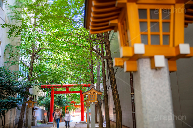 花園神社,神社,参拝,お参り,新宿,新宿区,郷社,倉稲魂命,日本武尊,受持神,徳川家康,文化財,芸能,都心,都会,鳥居,shrine,japan,灯籠,フルサイズ撮影