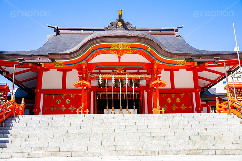 花園神社,神社,参拝,お参り,新宿,新宿区,郷社,倉稲魂命,日本武尊,受持神,徳川家康,文化財,芸能,都心,都会,階段,石段,shrine,japan,フルサイズ撮影
