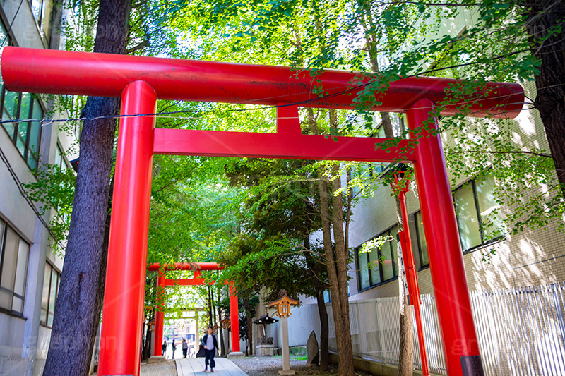 花園神社,神社,参拝,お参り,新宿,新宿区,郷社,倉稲魂命,日本武尊,受持神,徳川家康,文化財,芸能,都心,都会,鳥居,shrine,japan,フルサイズ撮影