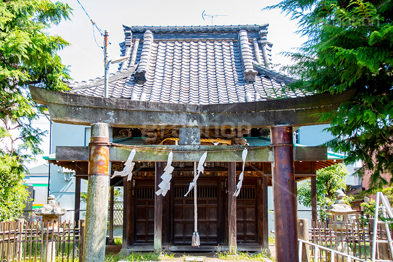 八坂大神,神社,参拝,神奈川,鎌倉,荒,草木,鳥居,灯篭