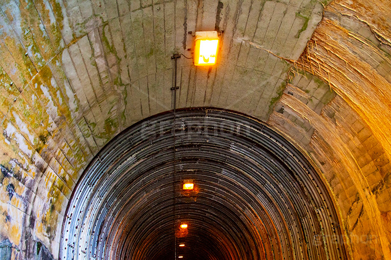 佐助隧道,トンネル,暗い,怖い,怪しい,古い,心霊,ホラー,神奈川,鎌倉,噂,草木,廃,小さなトンネル,荒