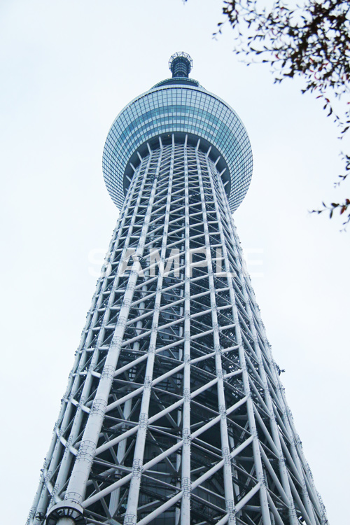 スカイツリー,東京スカイツリー,TOKYO SKYTREE,墨田区,押上,電波塔,634,634メートル,640m,塔,真下,見上げ,tower,japan,タワー