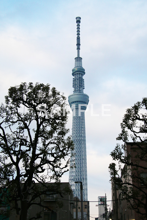 スカイツリー,東京スカイツリー,TOKYO SKYTREE,墨田区,押上,電波塔,634,634メートル,634m,塔,tower,japan,タワー