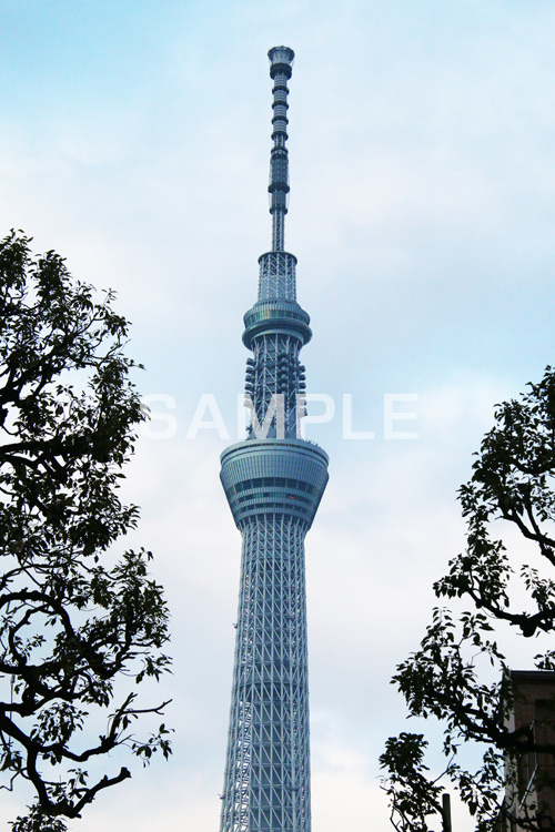 スカイツリー,東京スカイツリー,TOKYO SKYTREE,墨田区,押上,電波塔,634,634メートル,634m,塔,tower,japan,タワー