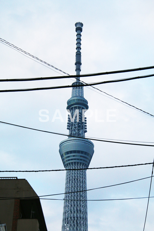 スカイツリー,東京スカイツリー,TOKYO SKYTREE,墨田区,押上,電波塔,634,634メートル,634m,塔,電線,tower,japan,タワー
