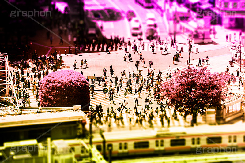 渋谷,Gradation Jjapan,gradation,japan,日本,グラデーション,カラフル,お洒落,おしゃれ,オシャレ,味わい,雰囲気,東京,tokyo,デュオトーン,duotone