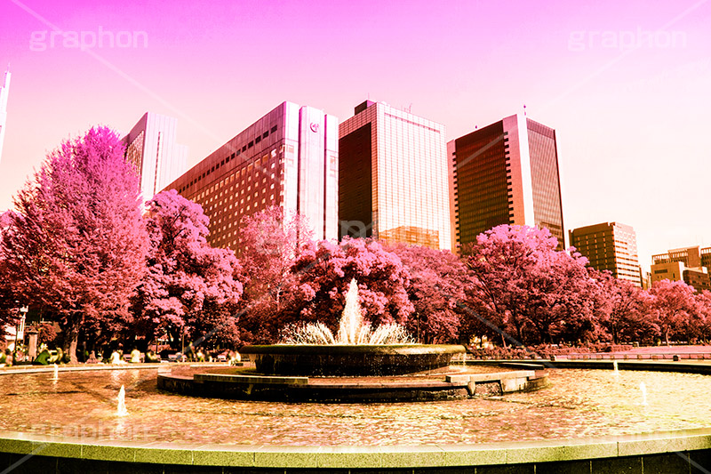 日比谷公園,Gradation Jjapan,gradation,japan,日本,グラデーション,カラフル,お洒落,おしゃれ,オシャレ,味わい,雰囲気,東京,tokyo,デュオトーン,duotone