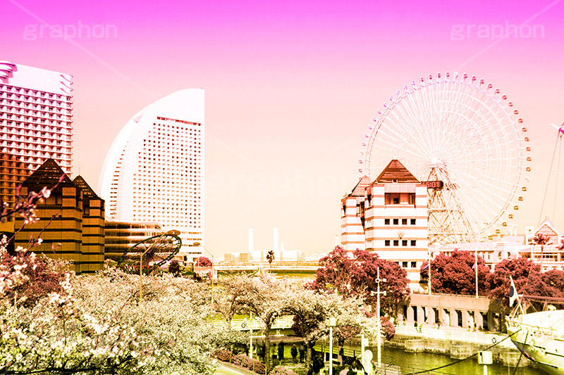 みなとみらい,Gradation Jjapan,gradation,japan,日本,グラデーション,カラフル,お洒落,おしゃれ,オシャレ,味わい,雰囲気,東京,tokyo,デュオトーン,duotone