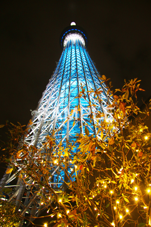 スカイツリー,東京スカイツリー,TOKYO SKYTREE,墨田区,押上,電波塔,634,634メートル,634m,塔,夜,ライトアップ,粋,ブルー,青,不思議,おもしろ写真,面白写真,2本,２本,映イルミネーション,イルミ,真下,見上げ,tower,japan,タワー