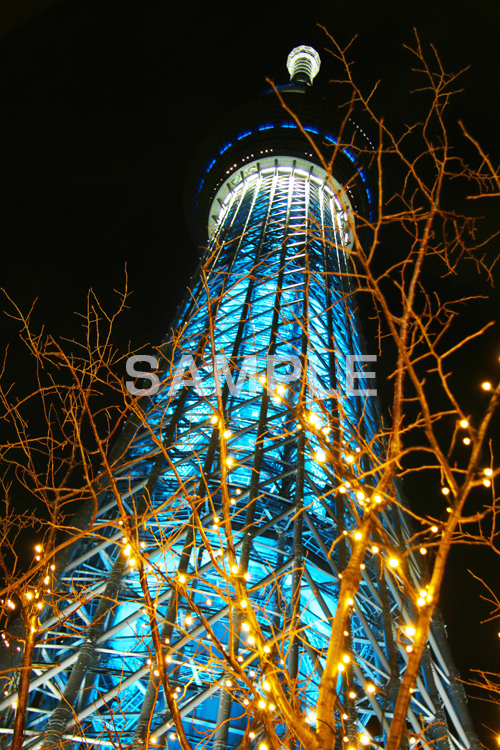 スカイツリー,東京スカイツリー,TOKYO SKYTREE,墨田区,押上,電波塔,634,634メートル,634m,塔,夜,ライトアップ,粋,ブルー,青,不思議,おもしろ写真,面白写真,2本,２本,映イルミネーション,イルミ,真下,見上げ,tower,japan,タワー