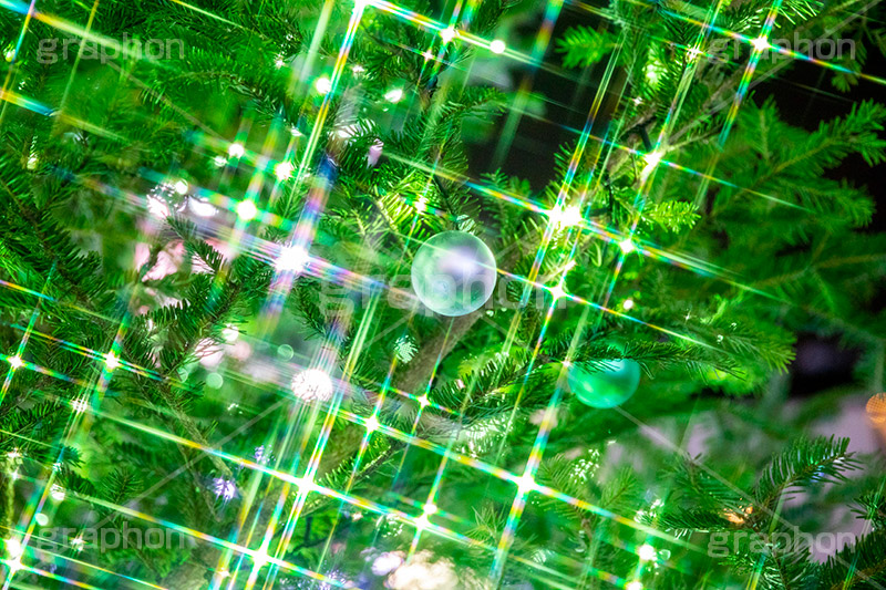 光り輝くクリスマスツリー,クリスマスツリー,イルミネーション,イルミ,illumination,tree,電飾,電球,発光ダイオード,LED,冬,キラキラ,綺麗,きれい,キレイ,煌,輝,デート,クリスマス,CHRISTMAS,Xmas,ornament,飾り,デコレーション,イベント,モミの木,もみの木,オーナメント,ボール,フルサイズ撮影