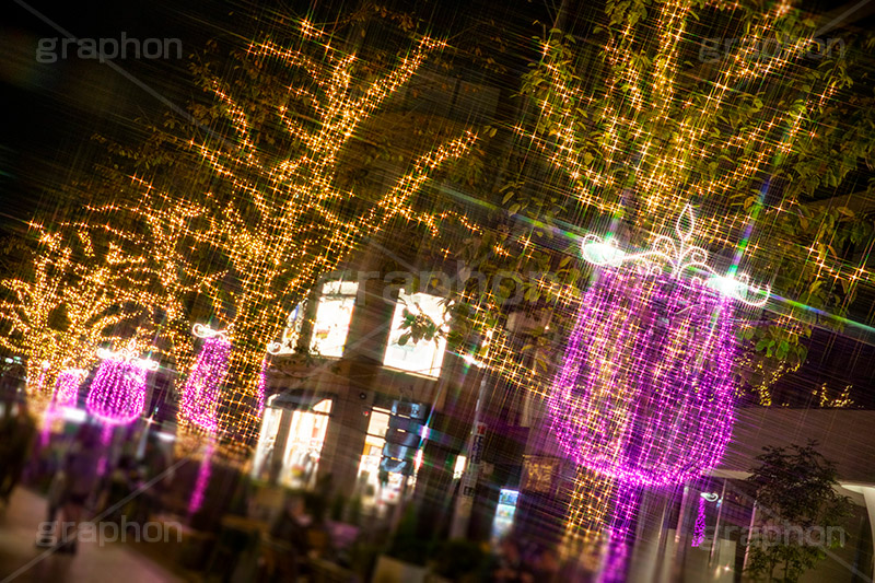 自由が丘イルミネーション,イルミネーション,イルミ,illumination,クリスマスツリー,tree,電飾,電球,発光ダイオード,LED,冬,キラキラ,綺麗,きれい,キレイ,煌,輝,デート,スポット,都内,クリスマス,自由が丘,CHRISTMAS,Xmas,飾り,デコレーション,イベント,目黒区,クロスフィルタ,行事,九品仏,ピンク,ゴールド,ワイングラス,gold,pink,JIYUGAOKA Mistral Lights,フルサイズ撮影