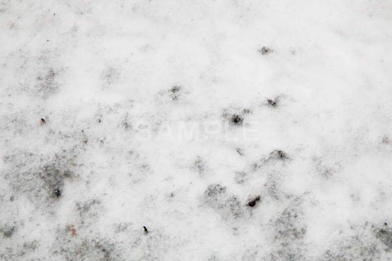凍結,地面,雪,凍る,冬,winter,snow