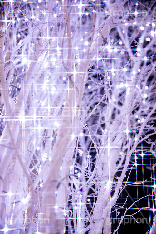 きらきらイルミネーション,きらきら,イルミネーション,イルミ,illumination,電飾,電球,発光ダイオード,LED,冬,キラキラ,綺麗,きれい,キレイ,煌,輝,デート,スポット,クリスマス,クロスフィルタ,フレア,flare,フルサイズ撮影