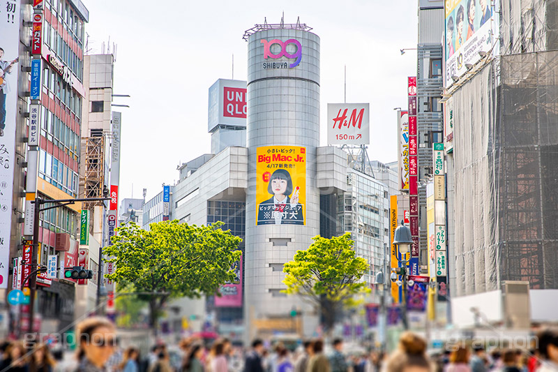 渋谷スクランブル交差点,渋谷,しぶや,ハチ公,観光,交差点,渋谷駅,駅前,スクランブル,外国人,海外,道玄坂,横断歩道,信号,雑踏,都会の雑踏,人混み,人物,混雑,shibuya,japan,109,フルサイズ撮影