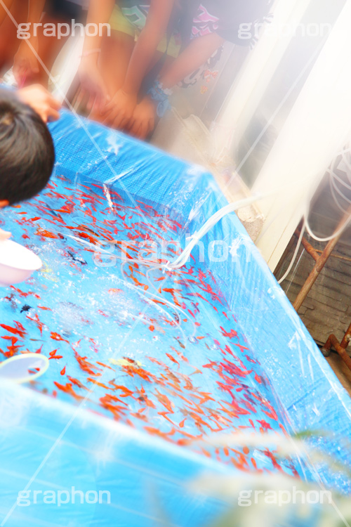 夏祭り,夏休み,金魚,すくい,出店,屋台,露店,こども,子供,祭り,まつり,縁日