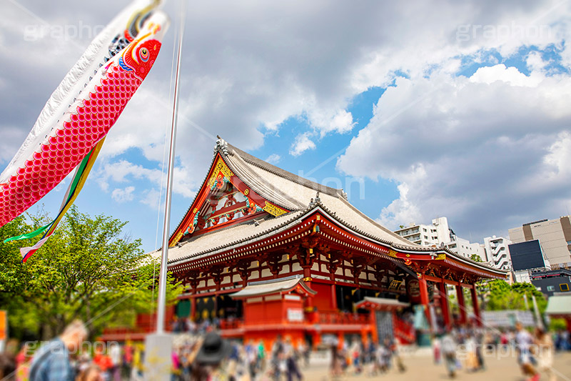鯉のぼりと浅草寺,浅草,雷門,浅草寺,あさくさ,春,鯉のぼり,こいのぼり,節句,こどもの日,子供の日,子供の日,台東区,寺,お寺,参拝,お参り,東京都内最古,都内最古,浅草 名所,浅草 観光,スポット,寺院,asakusa,japan,フルサイズ撮影