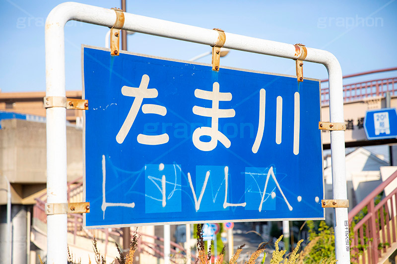 たま川,多摩川,川原,河川敷,一級河川,玉川,河川,堤防,看板,標示,落書き,らくがき,フルサイズ撮影
