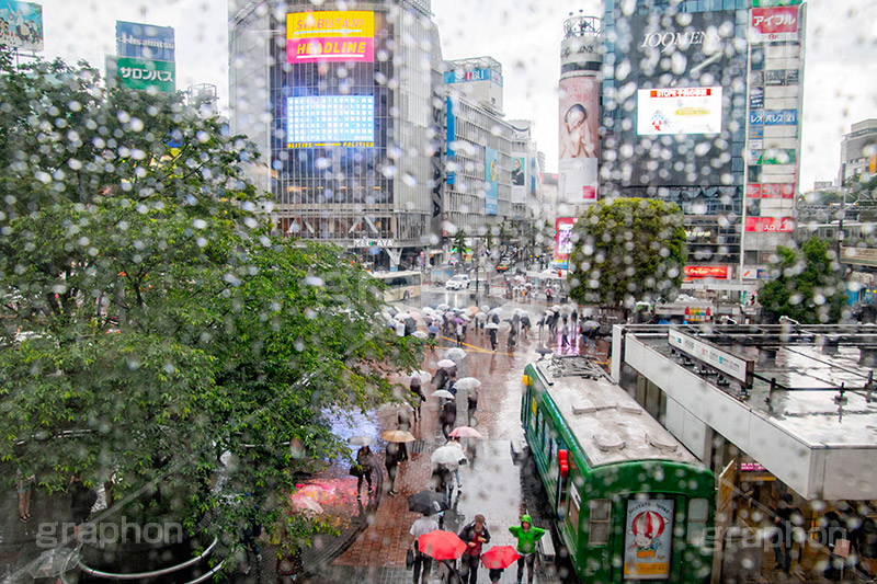 雨の日の渋谷,雨の日,雨,梅雨,交差点,信号,横断歩道,足元,傘,かさ,道路,アスファルト,水たまり,水溜まり,水しぶき,渋谷,スクランブル交差点,shibuya,japan,rain,umbrella