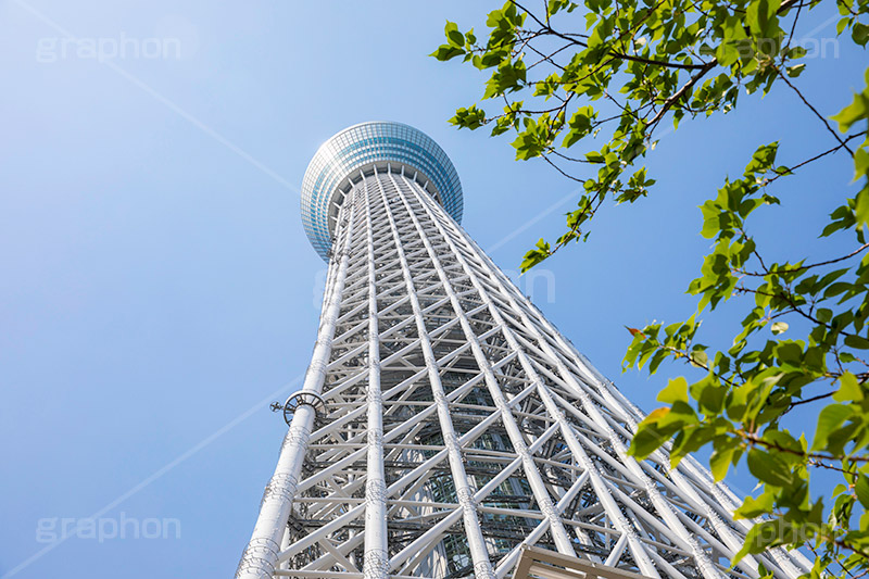 東京スカイツリー,真下からのスカイツリー,スカイツリー,墨田区,押上,電波塔,634,634メートル,634m,塔,電線,真下,見上げ,タワー,青空,tower,TOKYO SKYTREE,フルサイズ撮影