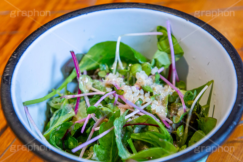 サラダ,さらだ,サラダ菜,カイワレ,かいわれ,カイワレ大根,前菜,おつまみ,salad