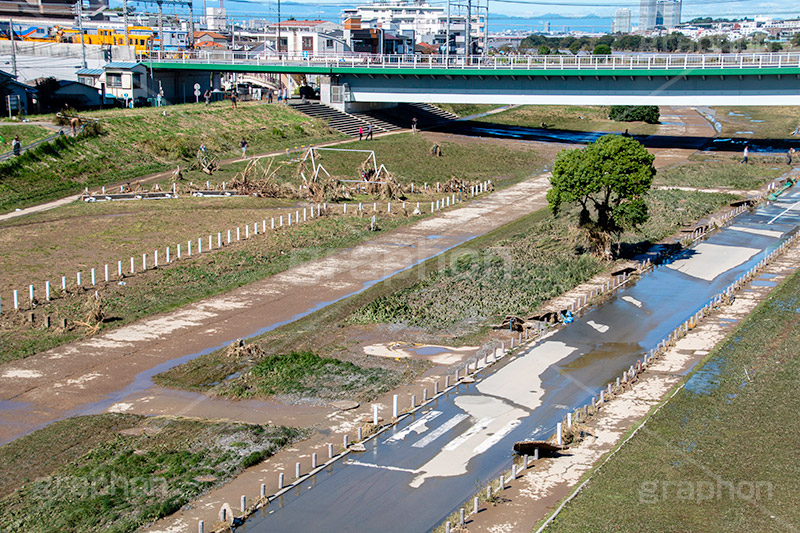 台風の傷跡,流木,倒木,洪水,浸水,濁流,水位,危険,被災,氾濫,決壊,堤防,水害,ハザードマップ,台風,大雨,嵐,豪雨,天災,災害,避難,非常,傷,被害,事件,事故,多摩川,川原,河川敷,一級河川,玉川,河川,グランド,グラウンド,野球グランド,ground,sports,神奈川,typhoon,disaster,japan,2019