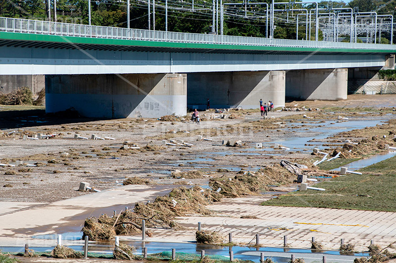 台風の傷跡,流木,倒木,洪水,浸水,濁流,水位,危険,被災,氾濫,決壊,堤防,水害,ハザードマップ,台風,大雨,嵐,豪雨,天災,災害,避難,非常,傷,被害,事件,事故,多摩川,川原,河川敷,一級河川,玉川,河川,グランド,グラウンド,野球グランド,ground,sports,神奈川,typhoon,disaster,japan,2019