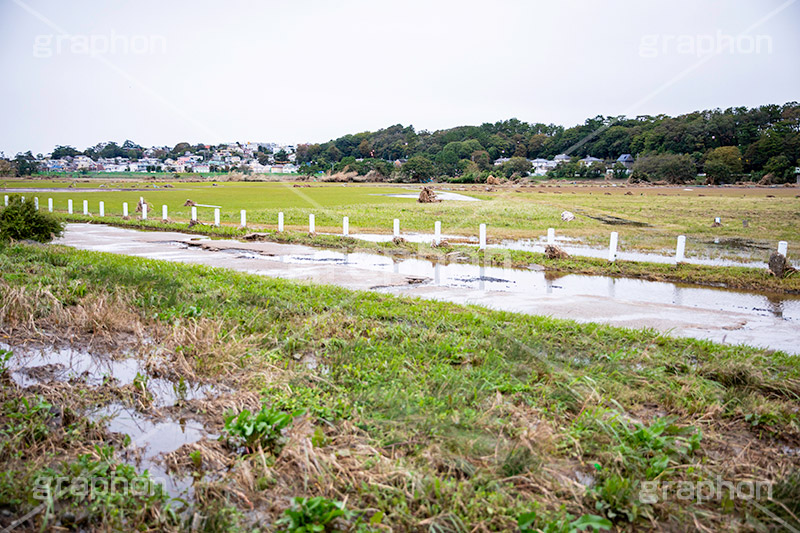 台風の傷跡,流木,倒木,洪水,浸水,被災,氾濫,決壊,堤防,水害,ハザードマップ,台風,大雨,嵐,豪雨,天災,災害,避難,非常,傷,被害,事件,事故,多摩川,川原,河川敷,一級河川,玉川,河川,グランド,グラウンド,野球グランド,神奈川,ground,sports,typhoon,disaster,japan,2019,フルサイズ撮影