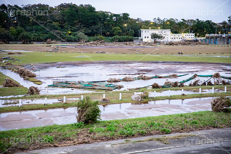 台風の傷跡,流木,倒木,洪水,浸水,被災,氾濫,決壊,堤防,水害,ハザードマップ,台風,大雨,嵐,豪雨,天災,災害,避難,非常,傷,被害,事件,事故,多摩川,川原,河川敷,一級河川,玉川,河川,グランド,グラウンド,野球グランド,神奈川,ground,sports,typhoon,disaster,japan,2019,フルサイズ撮影