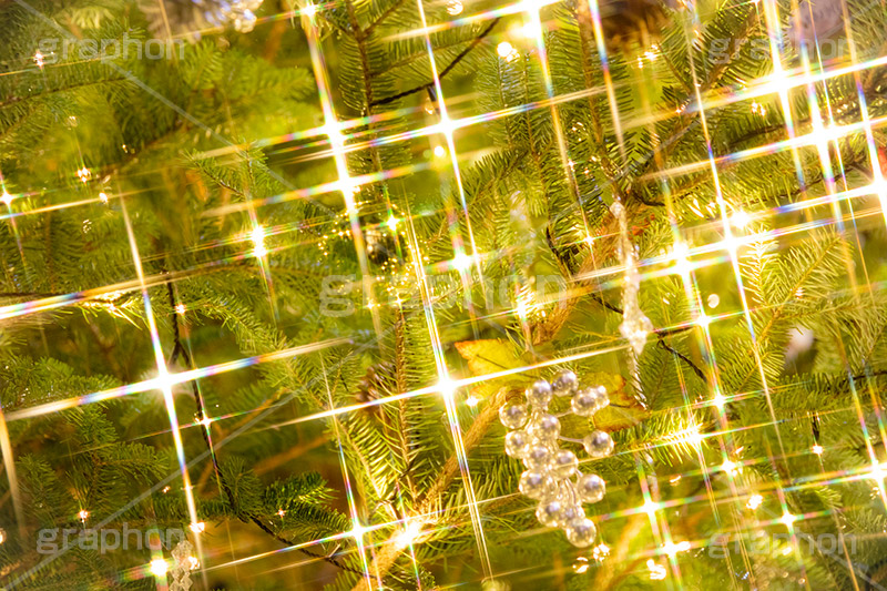 光り輝くクリスマスツリー,クリスマスツリー,イルミネーション,イルミ,電飾,電球,発光ダイオード,冬,キラキラ,綺麗,きれい,キレイ,煌,輝,デート,クリスマス,飾り,デコレーション,イベント,モミの木,もみの木,LED,illumination,tree,CHRISTMAS,Xmas,ornament,フルサイズ撮影